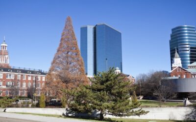 15 Best Places to Live in Tennessee