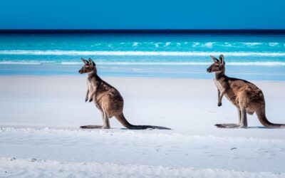 15 Best Beaches in Australia For Fun