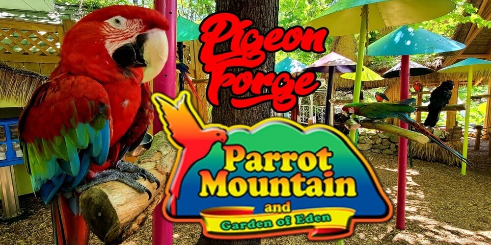 Parrot Mountain and Gardens