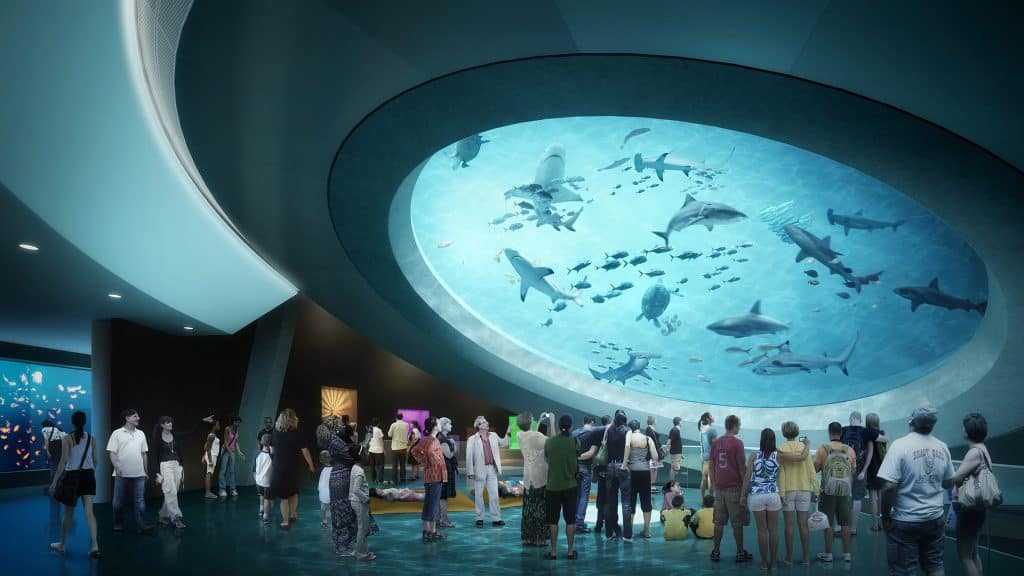 A group of people enjoying a spectacular aquarium experience during an unforgettable Miami night event.