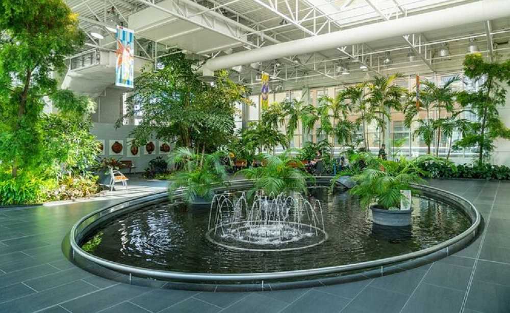 An indoor garden in Calgary offering tours, featuring a fountain and various plants.