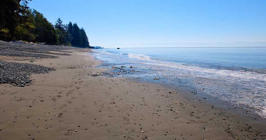 A sandy beach adjacent to campgrounds on Vancouver Island.