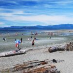 A crowded parksville beach.