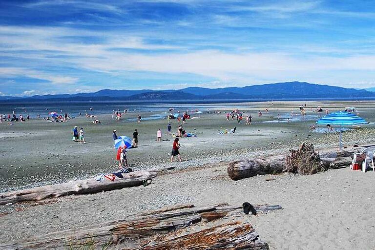 A crowded parksville beach.