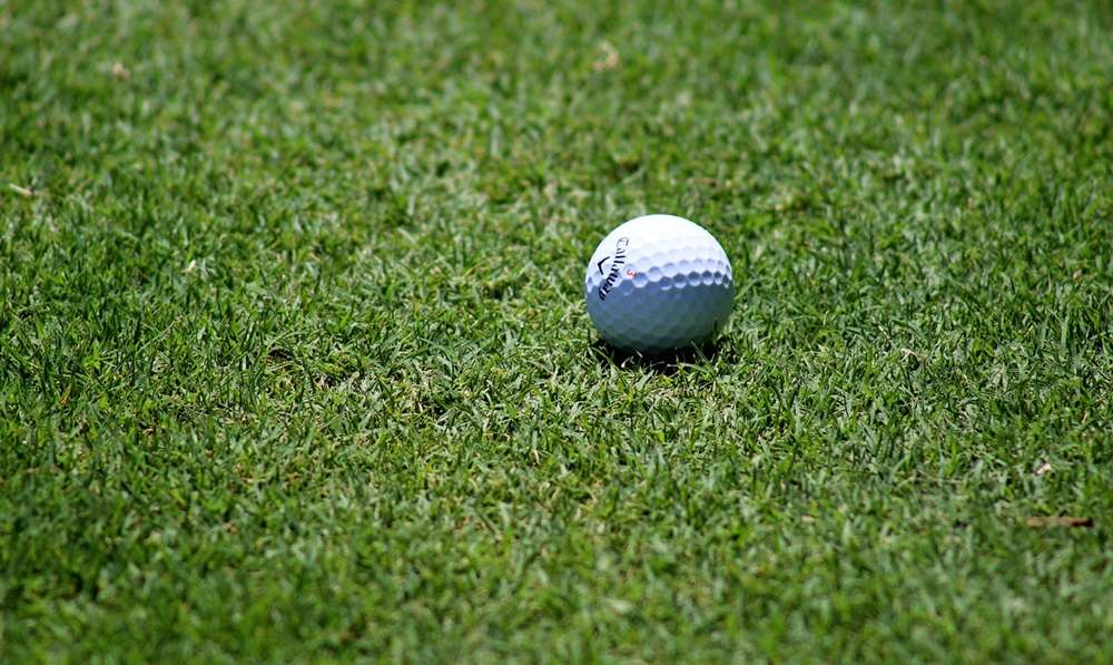 a golf ball on the grass