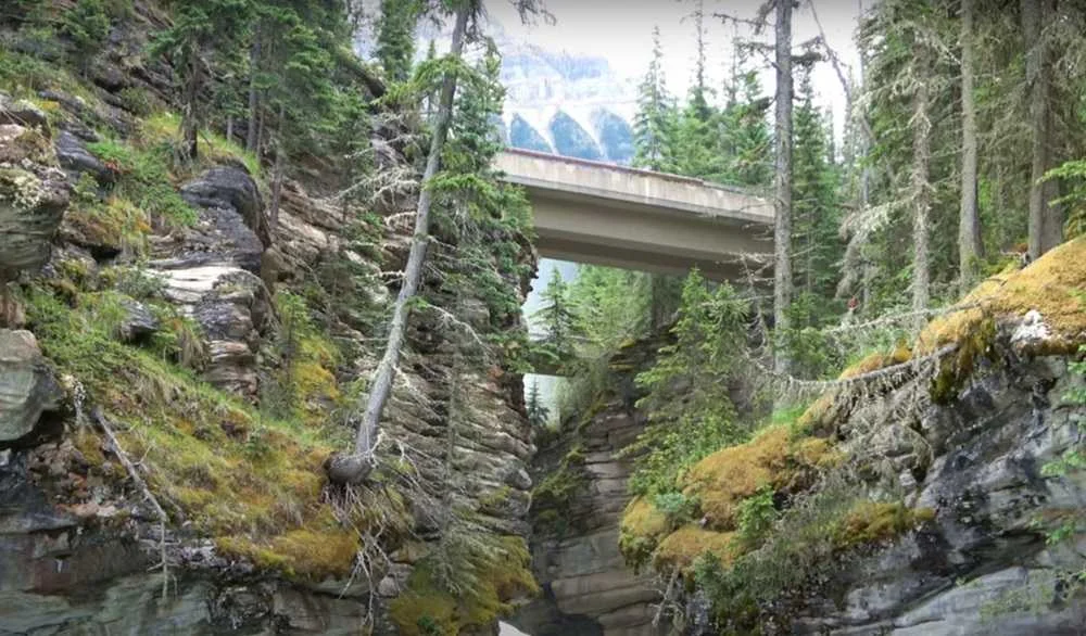 Athabasca Falls bridge: Athabasca Falls in Jasper National Park