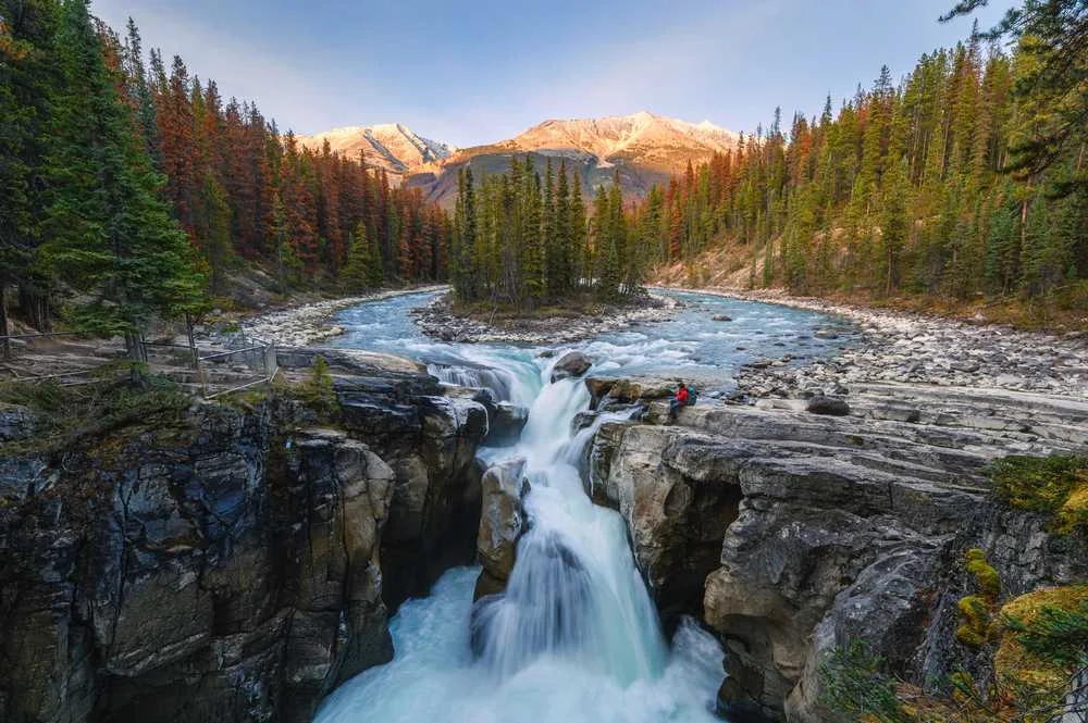 Attractions near Athabasca Falls: Sunwapta Falls