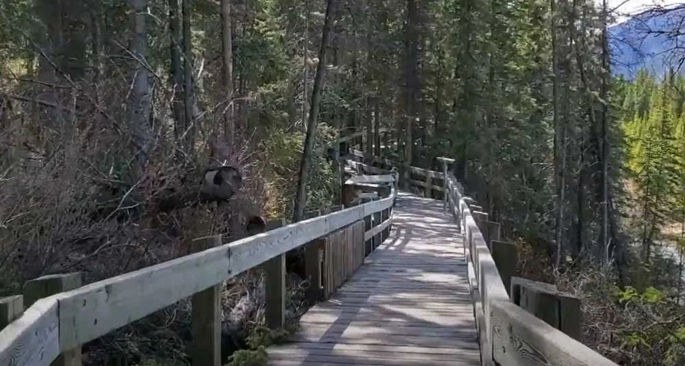 Marsh loop Trail around the Cave and Basin National Historic Site, Banff